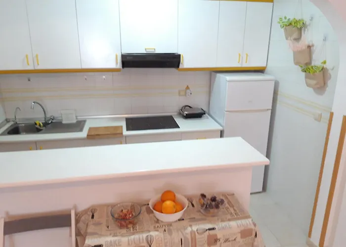 Con Patio Y Terraza Solarium Holiday home Torrevieja