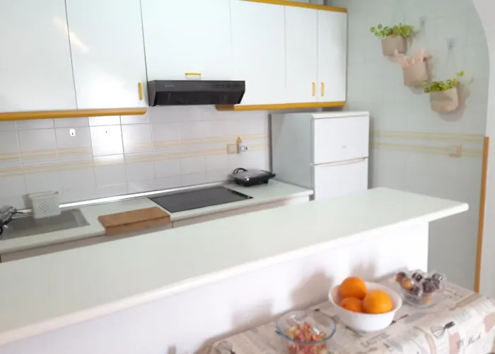 Con Patio Y Terraza Solarium